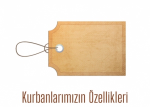 Kurban İbadeti